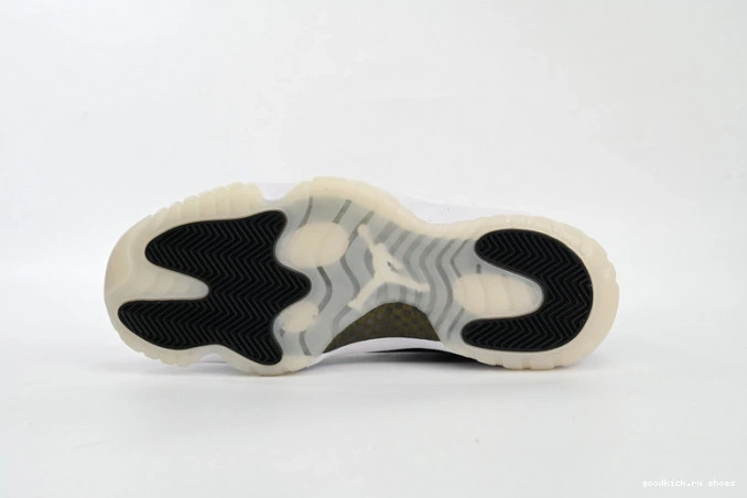 11 DMP Jordan CT8012-170 Air 0730